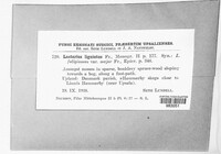 Image Associated With the Occurence
